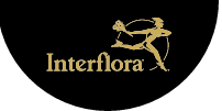 Interflora IT